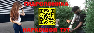 стаф Каменск-Шахтинский