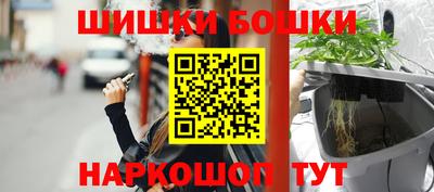 молекула духа Камень-на-Оби