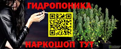 дживик Ижевск